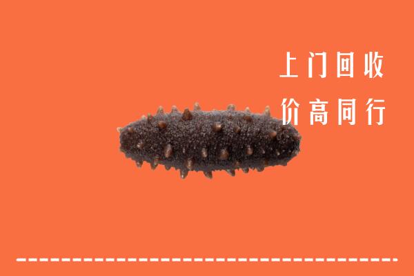 高价求购：象山区回收海参