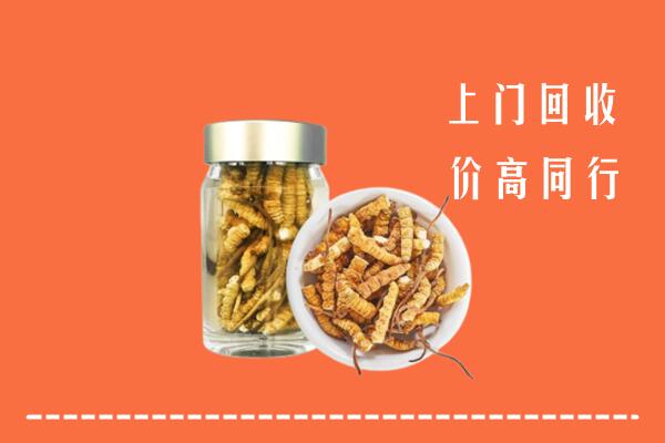 收购行情：象山区回收冬虫夏草