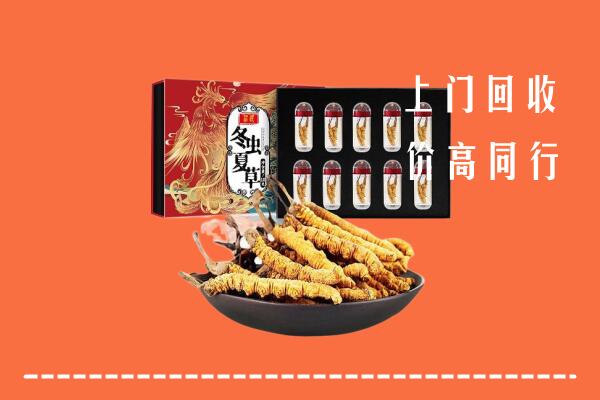 象山区高价回收虫草